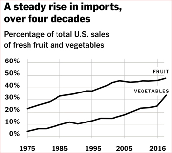 imported food